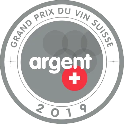 GPVS_argent_2019-400w-removebg-anteprima (1)