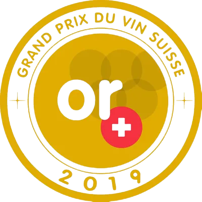 GPVS_or_2019-400w-removebg-preview